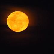 Rio de Janeiro 11/08/2014