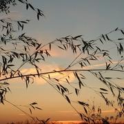 Arnac-la-Poste 06/11/2009