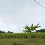 Lougratte 13/08/2014