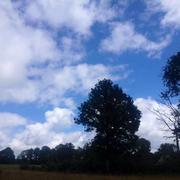 Saint-Merd-la-Breuille 15/08/2014