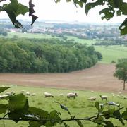 Martigny-les-Bains 15/08/2014