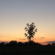 Saint-Julien-de-Bourdeilles 21/08/2014
