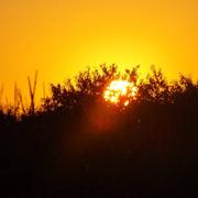 Bournezeau 24/08/2014