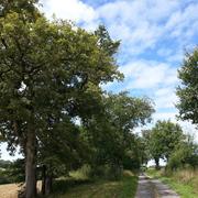 Péguilhan 29/08/2014