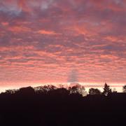 Nuillé-sur-Vicoin 08/11/2009