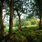 Martigny-les-Bains 06/09/2014