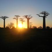 Morondava 09/11/2009