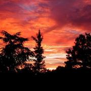 Vitrac-Saint-Vincent 09/11/2009