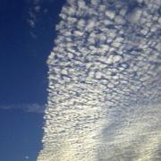 Cordes-sur-Ciel 22/09/2014