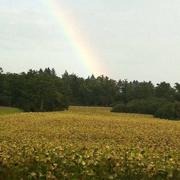 Oradour-sur-Glane 22/09/2014