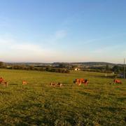 Chenevrey-et-Morogne 29/09/2014