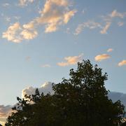 Dangé-Saint-Romain 12/10/2014