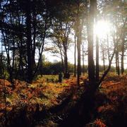 Le Gâvre 02/11/2014