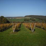 Entrains-sur-Nohain 03/11/2014