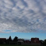 Forstfeld 05/11/2014