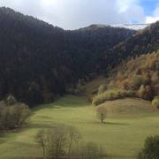 Mayrègne 06/11/2014