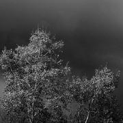 Poullaouen 10/11/2014