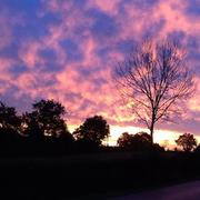 Puy-de-Serre 13/11/2014