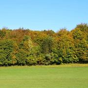 Dolus-le-Sec 22/11/2014