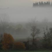 Bournezeau 23/11/2014