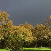 Le Faouët 25/11/2014