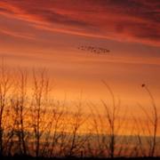 Plumaugat 09/12/2014