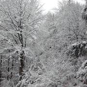 Les Martys 10/12/2014