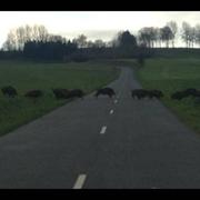 Bouin-Plumoison 15/12/2014