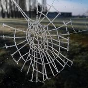 Aubigné-Racan 17/12/2014