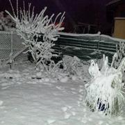 Waldbillig 27/12/2014