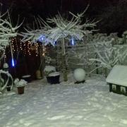 Waldbillig 27/12/2014