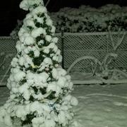 Waldbillig 27/12/2014