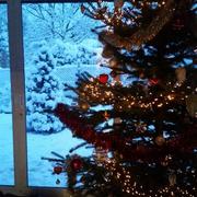 Waldbillig 27/12/2014