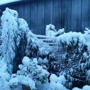 Waldbillig 27/12/2014