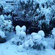 Waldbillig 27/12/2014