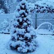 Waldbillig 27/12/2014