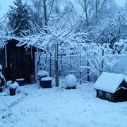 Waldbillig 27/12/2014