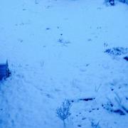 Avricourt 28/12/2014