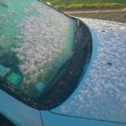 Charchigné 28/12/2014