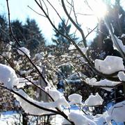 Charleroi 28/12/2014