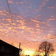 Champs-Romain 29/12/2014