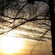 La Suze-sur-Sarthe 30/12/2014