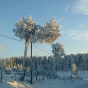 Saint-Denis-en-Margeride 30/12/2014