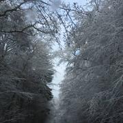 La Vergenne 31/12/2014