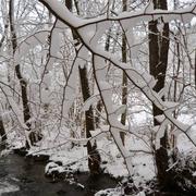 Plourac'h 31/12/2014