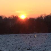 La Vergenne 31/12/2014