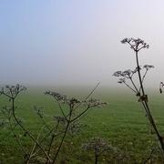 Mailly-le-Château 01/01/2015