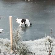 Barbirey-sur-Ouche 07/01/2015