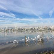 Sorcy-Saint-Martin 11/01/2015