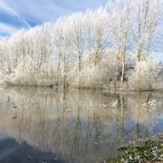 Sorcy-Saint-Martin 11/01/2015